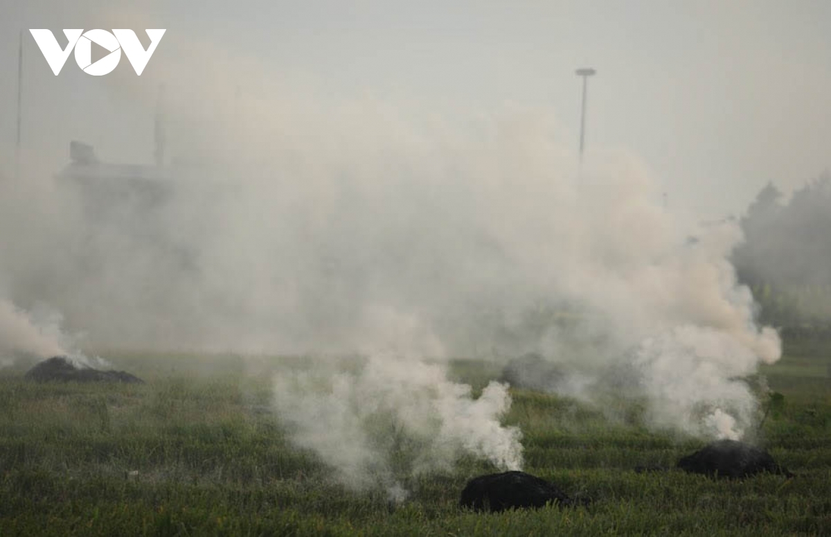 Đốt rơm rạ mỗi vụ ở Hà Nội phát sinh hơn 23.000 tấn CO2 và 163,3 tấn bụi mịn PM2.5